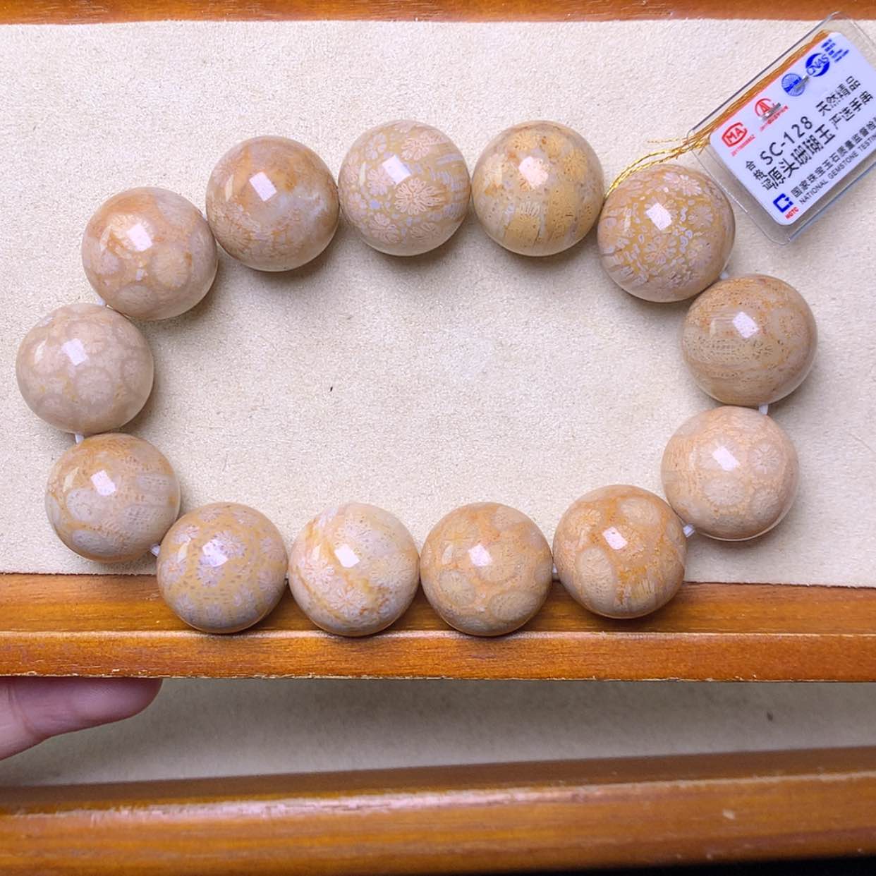 【闪购商品】硅化珊瑚（珊瑚玉）手镯未镶嵌16+