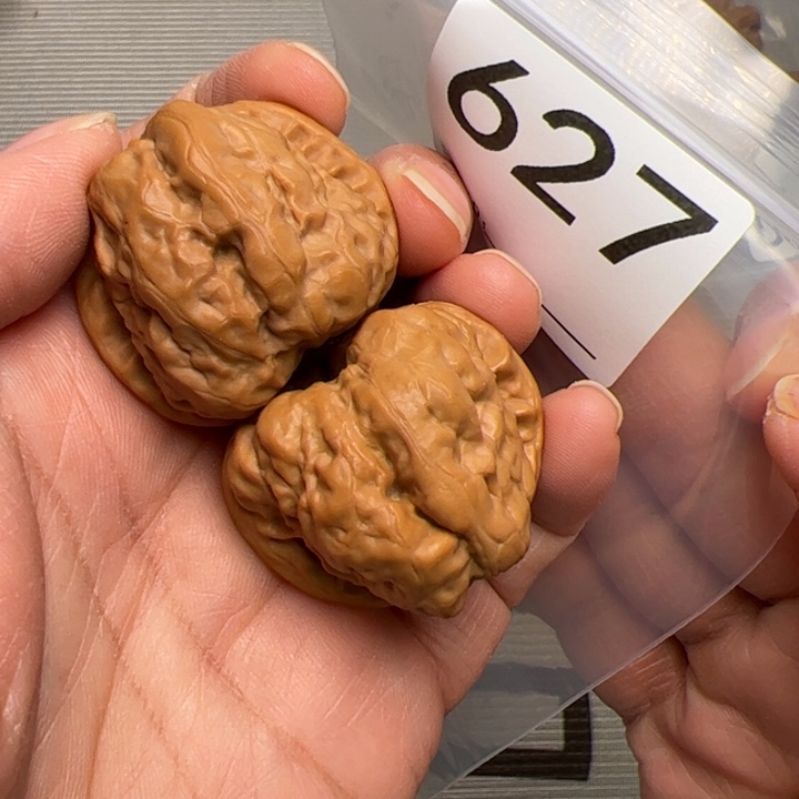 核桃四开背蛙边37肚38尺627号