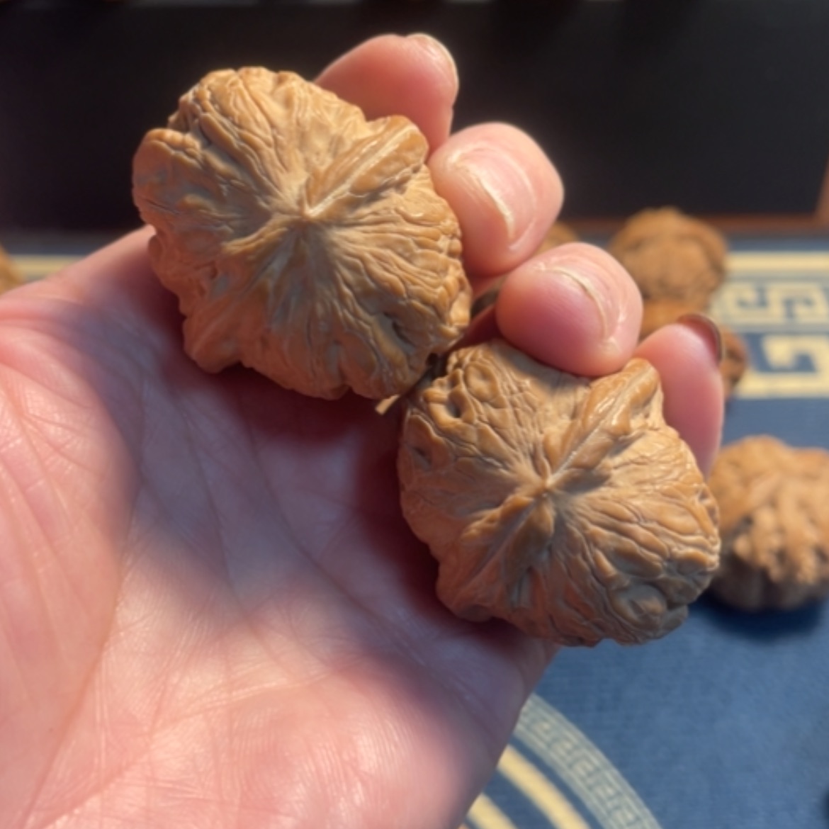 【闪购商品】核桃手串/手链爱***条元宝狮子头39