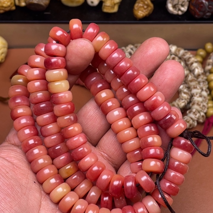 驼骨其他人工养殖