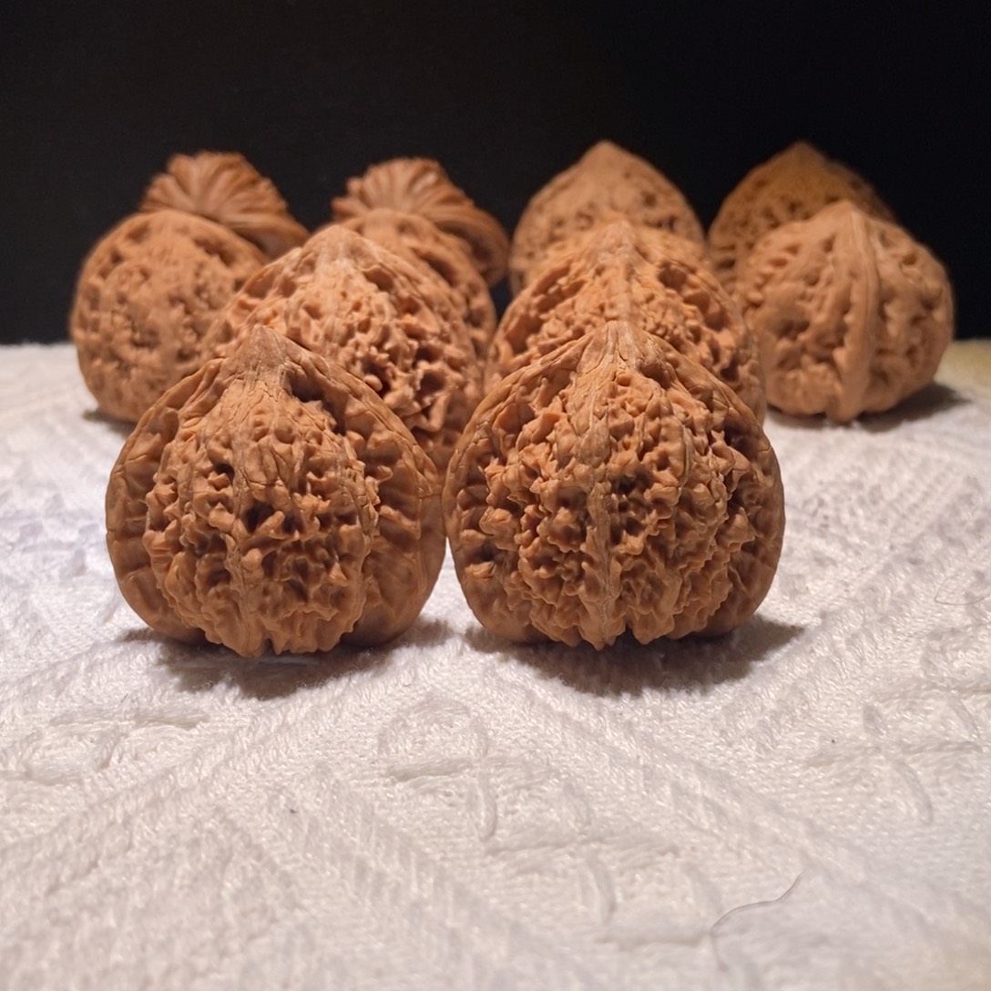 高***计极品满天星，42尺 