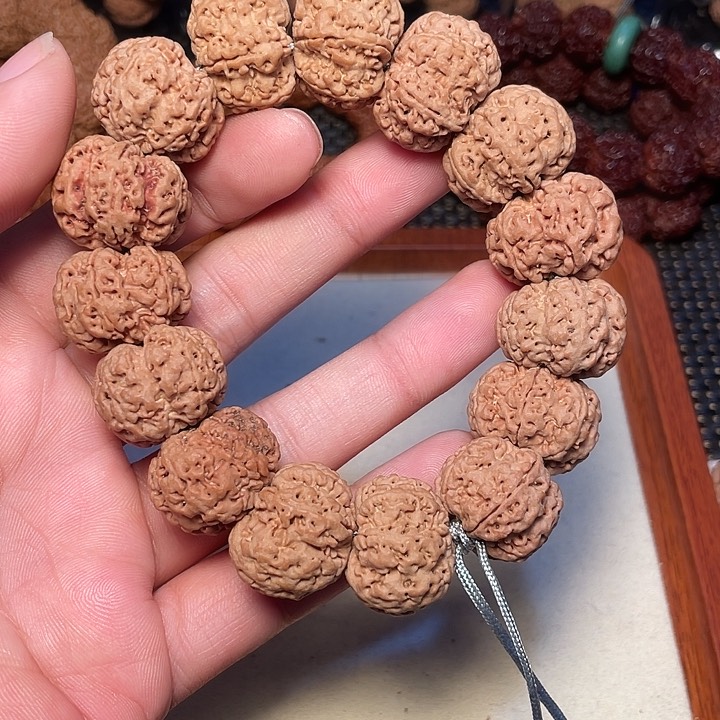 金刚菩提吊坠尼泊尔大金刚菩提