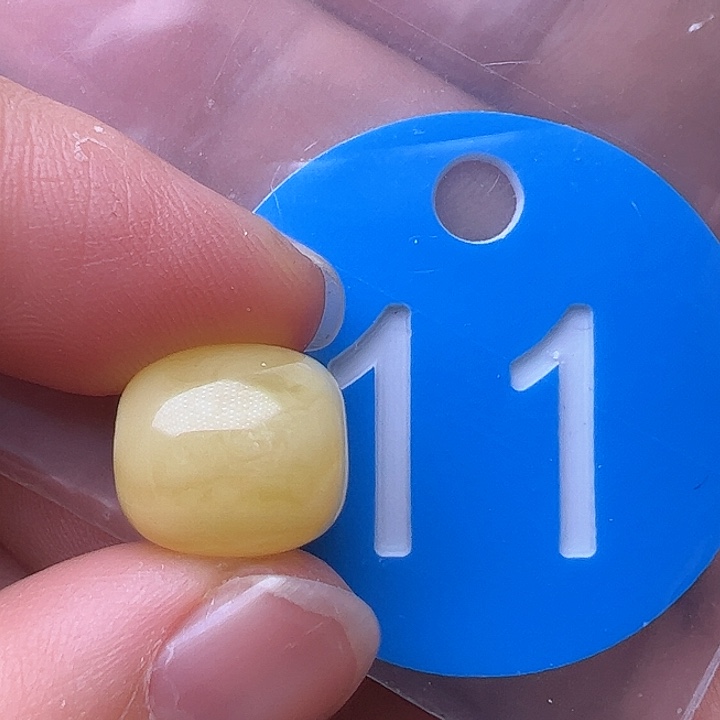 蜜蜡裸石未镶嵌划痕11/12m m