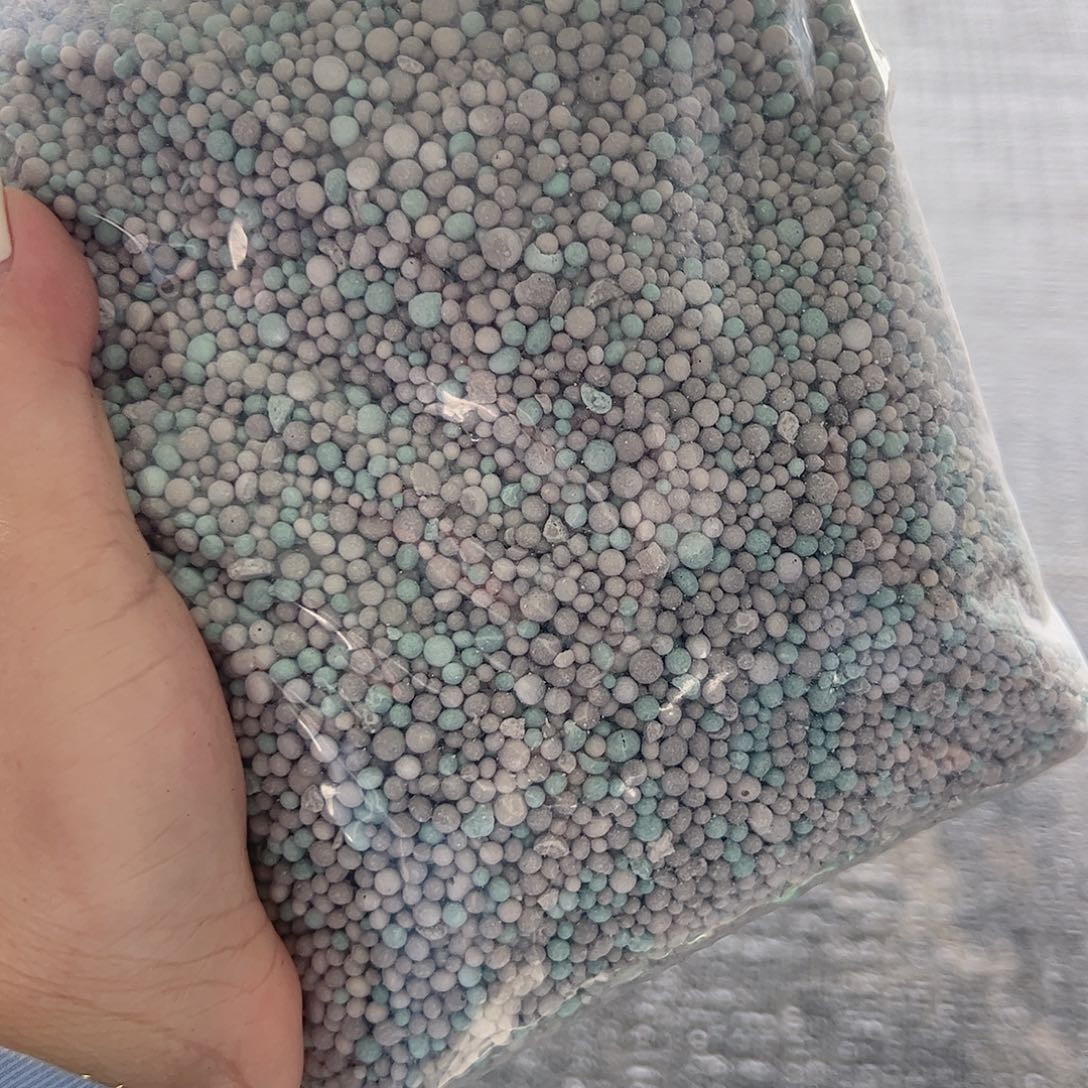 当前无花栽培后可以开花三角梅专用肥2斤