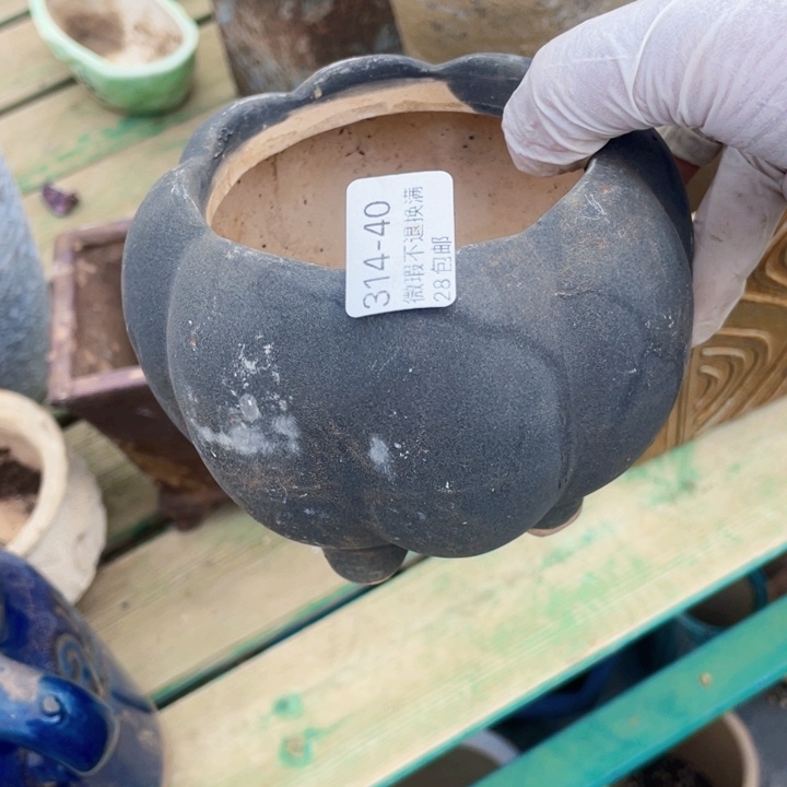 玫*园40号多肉盆一个