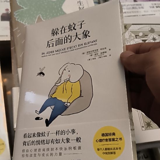 躲在蚊子后面的大象
