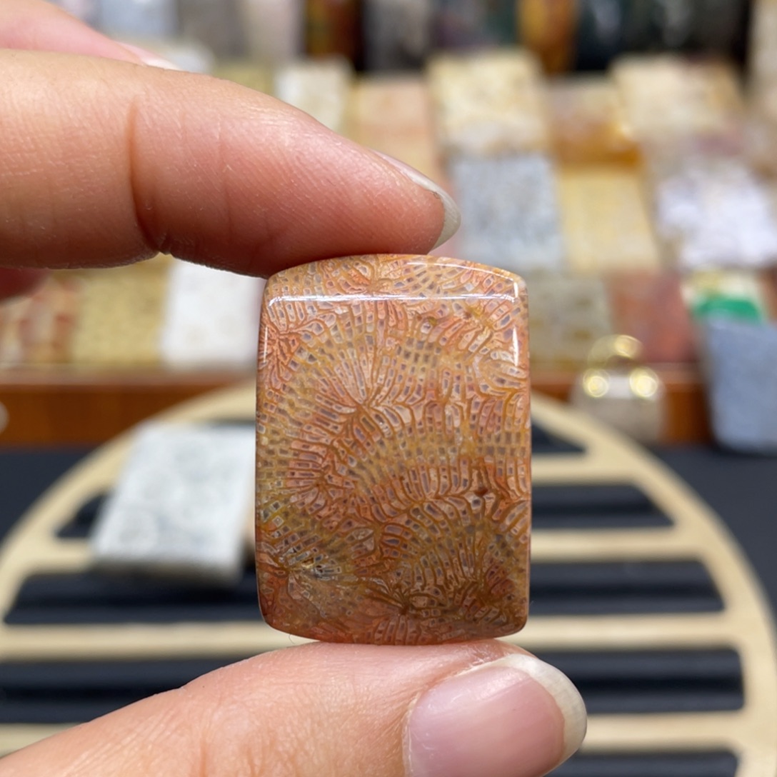 硅化玉未镶嵌颈饰k92