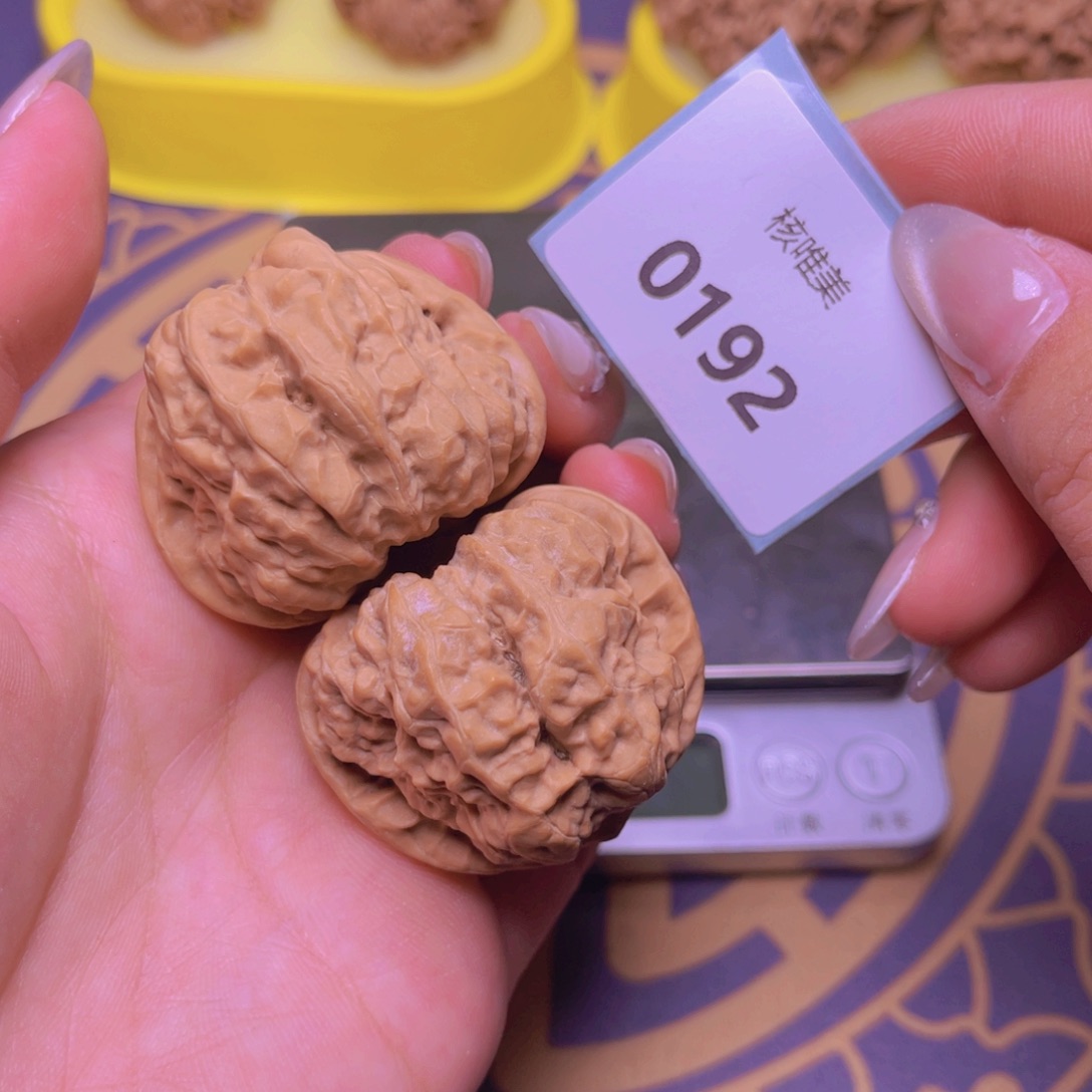 文玩核桃把件蛤磨头40～0192