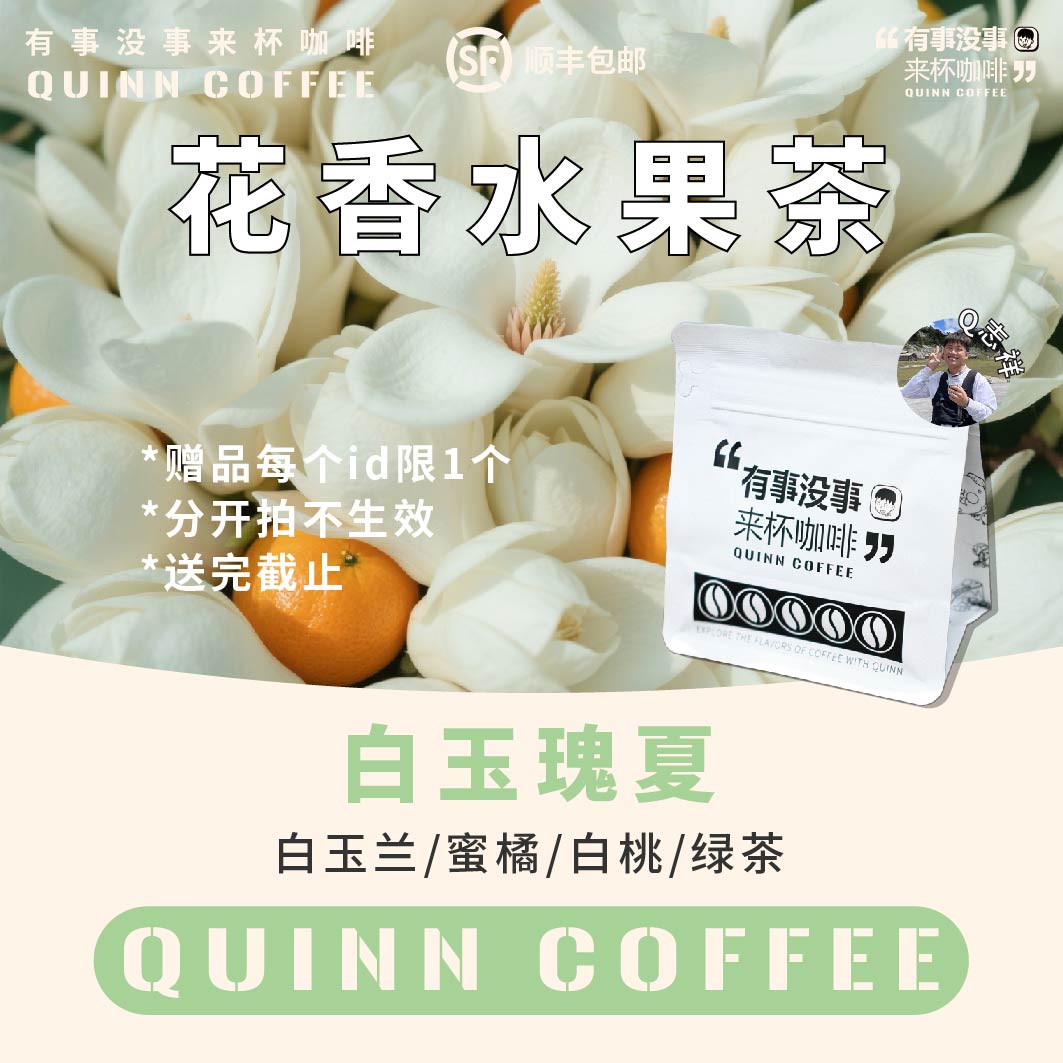 Quinncoffee【口粮单品】班吉玛奇白玉瑰夏水洗手冲冷萃咖啡豆