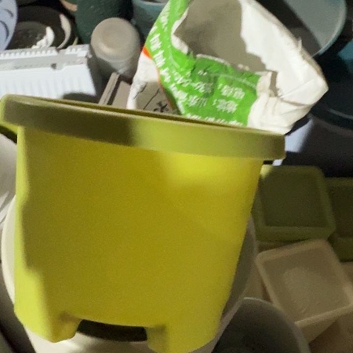 球根1号果绿带托6套