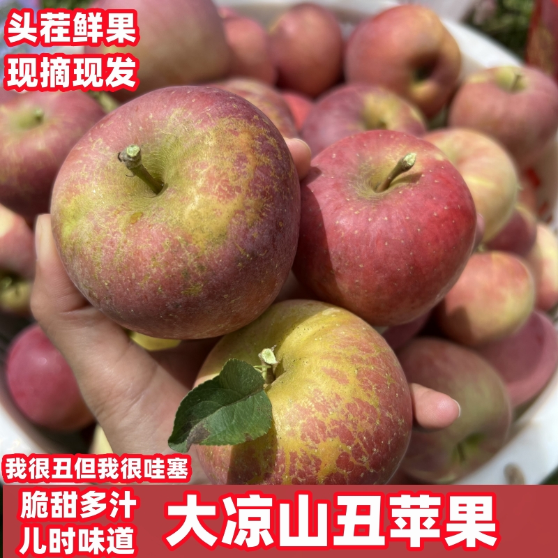 正宗四川大凉山盐源丑苹果高山现摘现发脆甜多汁2/5斤水果HTT