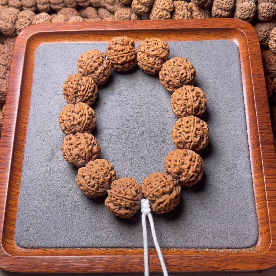 菩提3号金刚菩提原生态双龙25