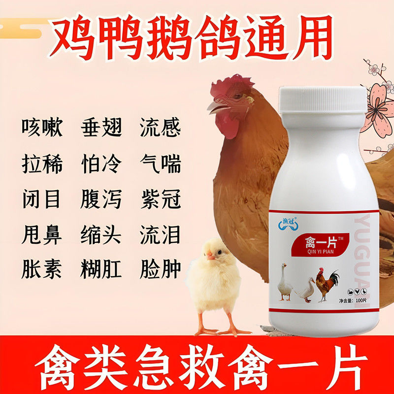 禽一片正品鸡疾病大全批发感冒呼吸道呼噜拉稀急救养鸡专用治百病