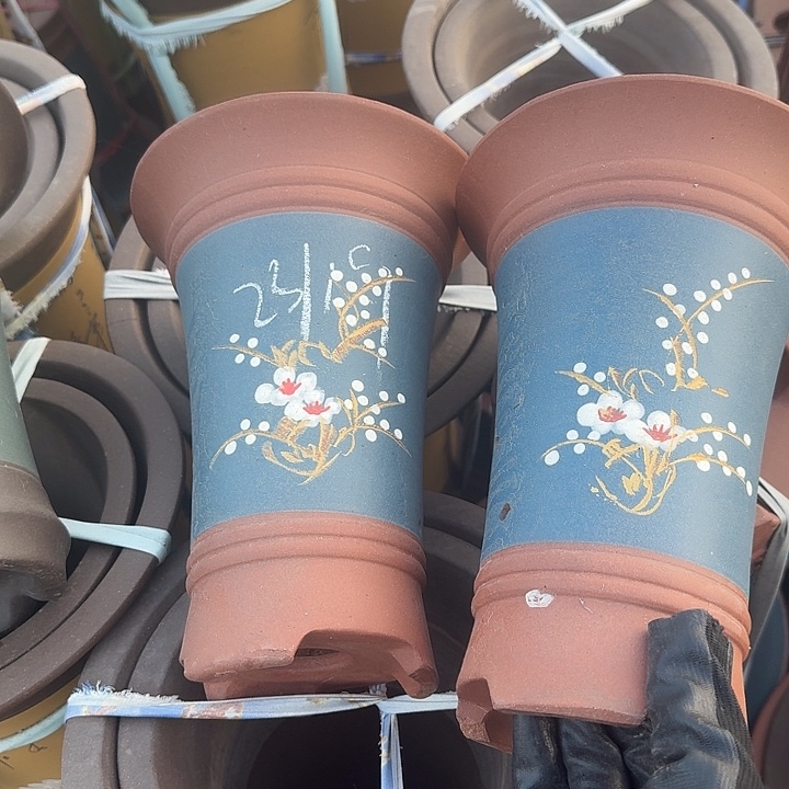 吸收紫砂我紫砂紫砂我紫砂