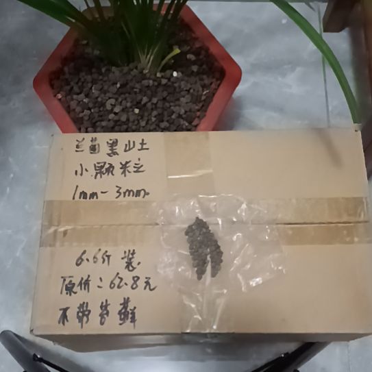小***雨兰菌黑山土小颗粒6.6斤