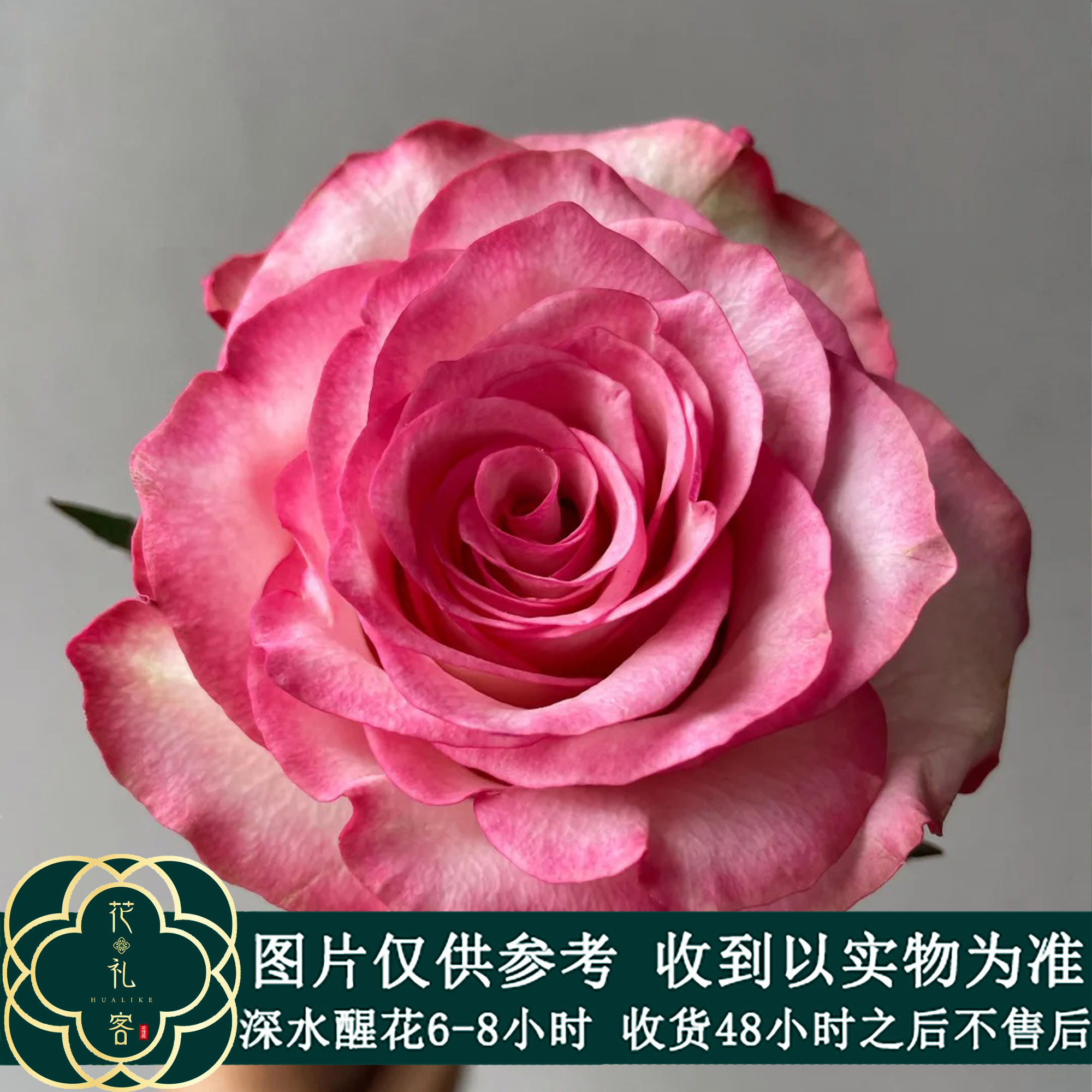 七叶花坊# 【美杜莎】高品质鲜花 顺丰直发