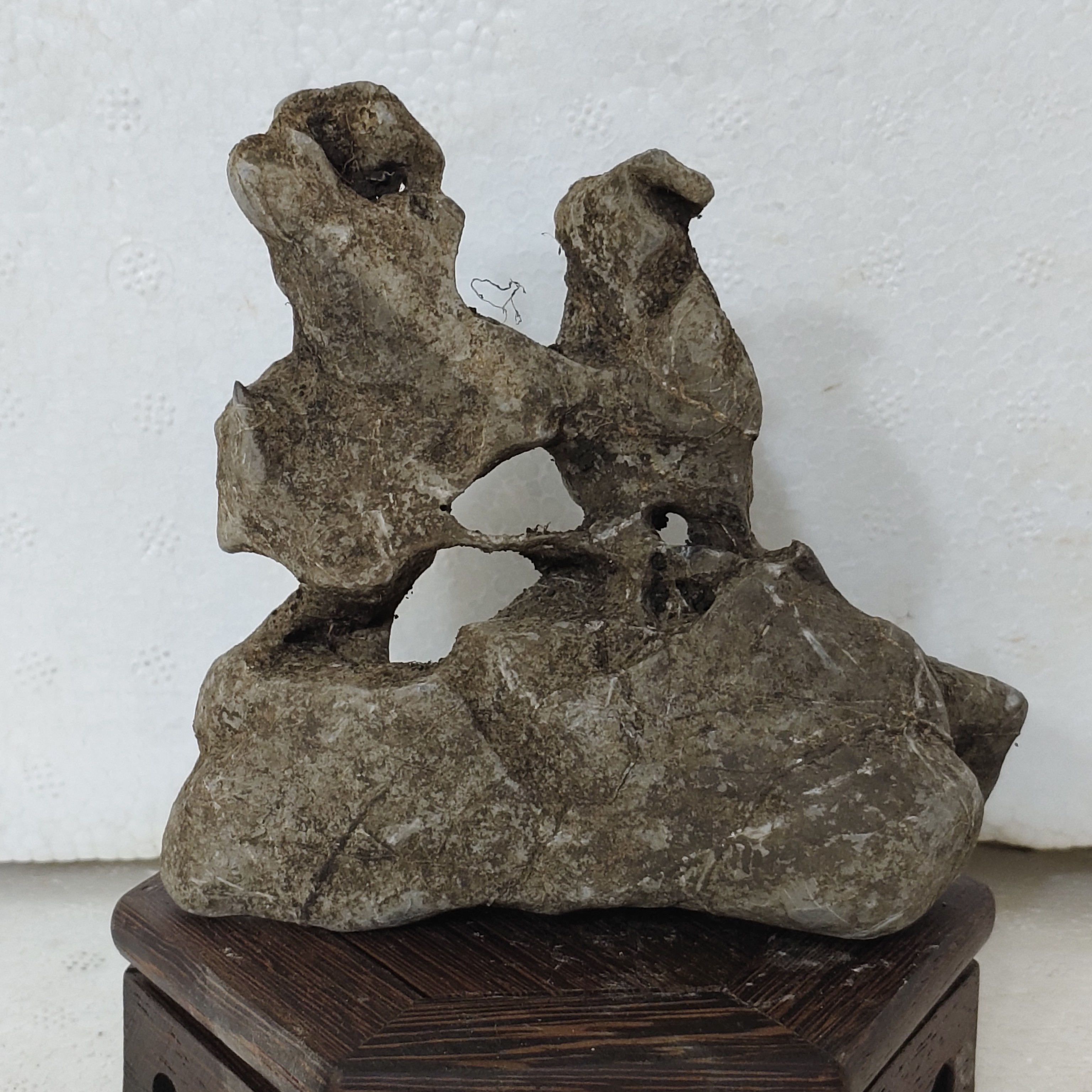 附石鱼缸石盆景装饰佳品直播间一物一拍