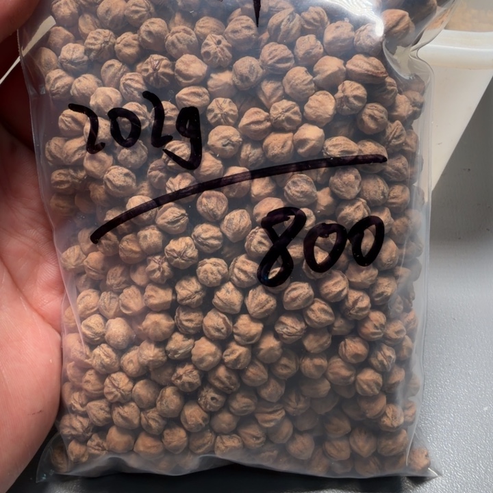 吊坠柏香籽/百香籽王****爹