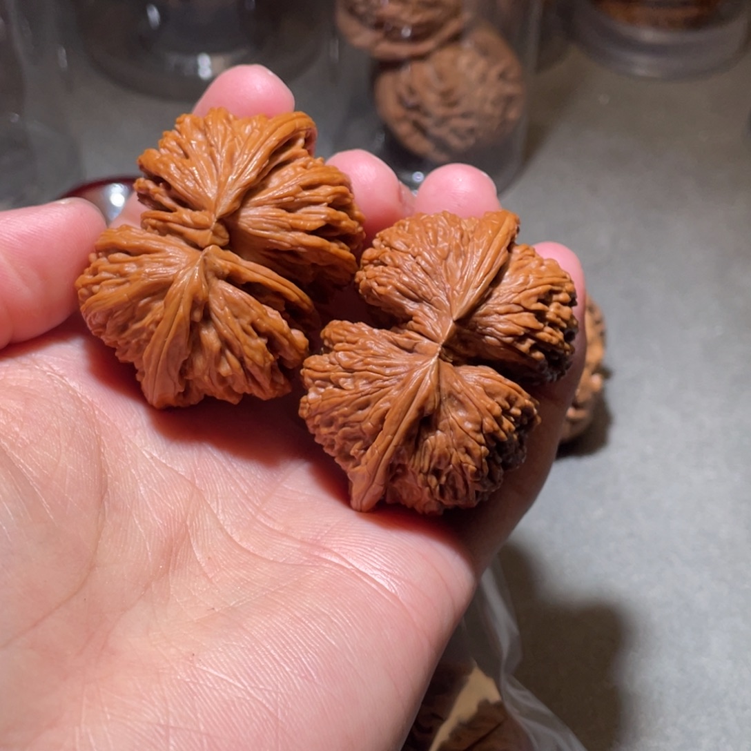 文玩核桃吊坠白狮子连体