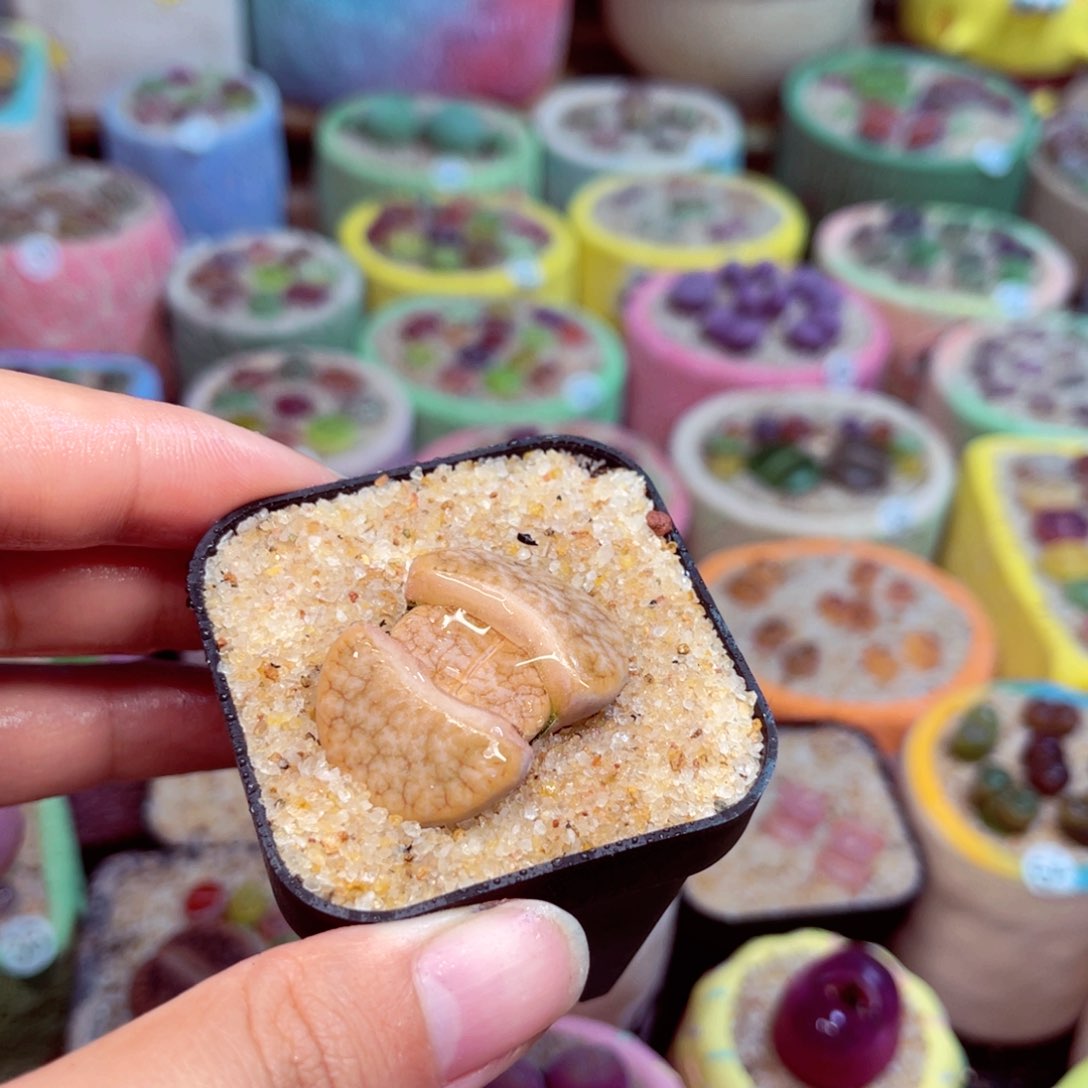 103。888888888888888