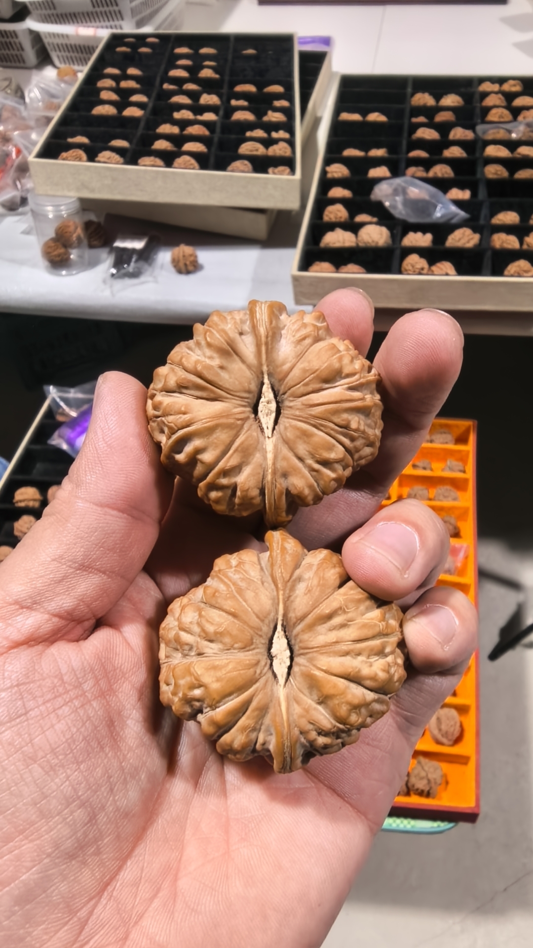 南瓜墩麻核桃专用链接