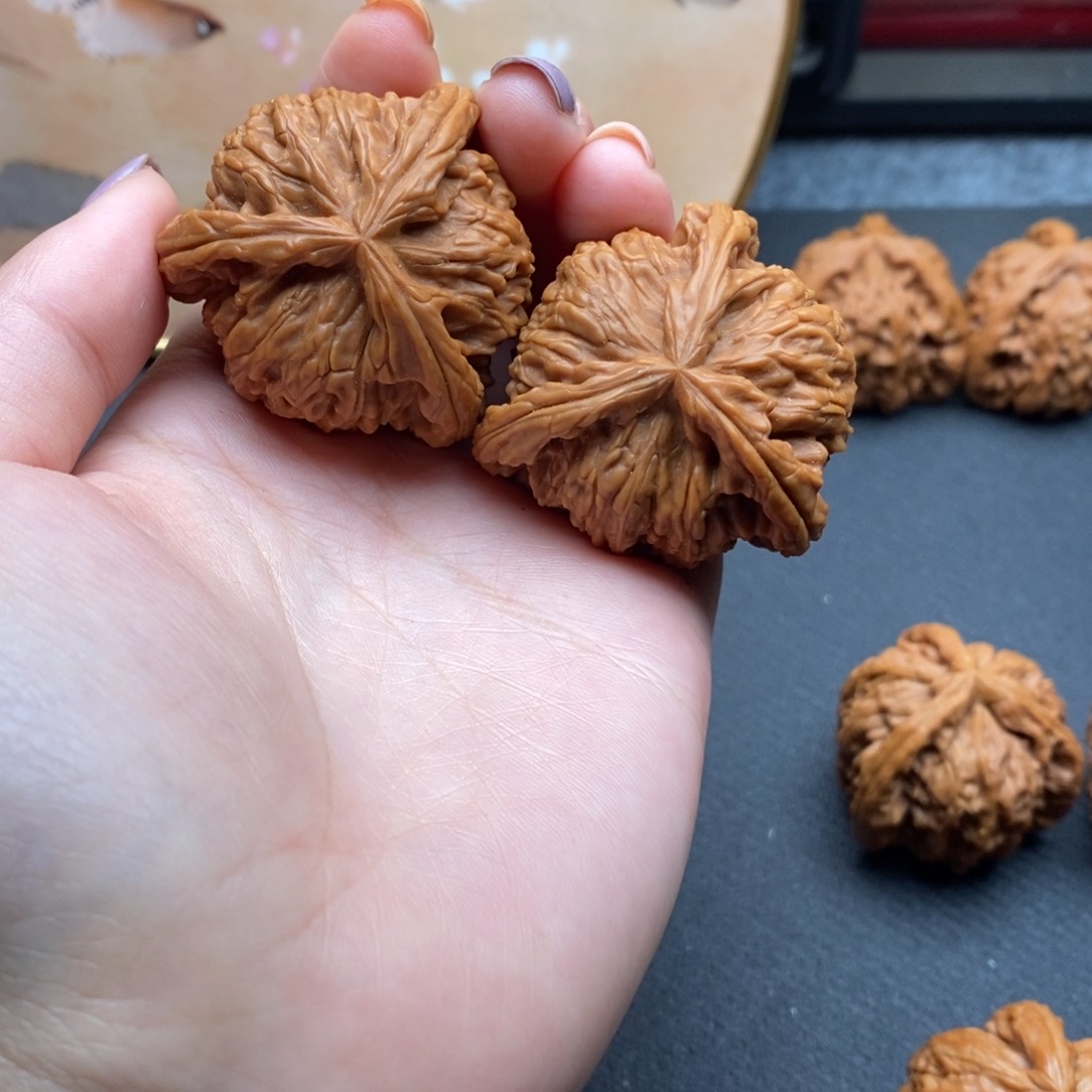 九****举白狮子11111111111