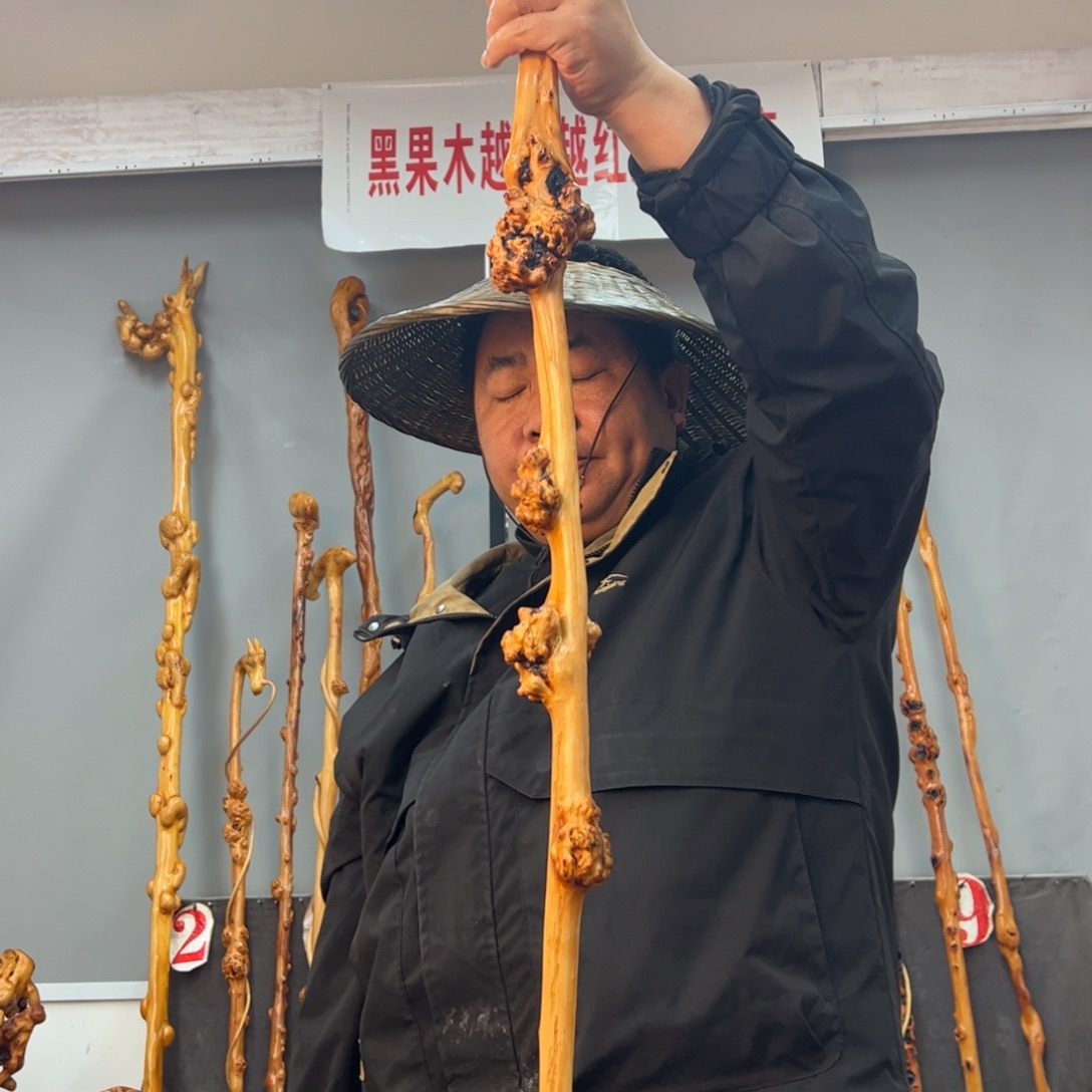 黑果木其他明**白黑果木420