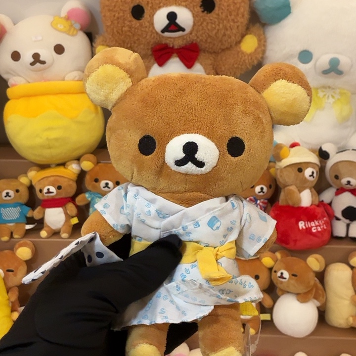 毛绒轻松熊温泉熊哥