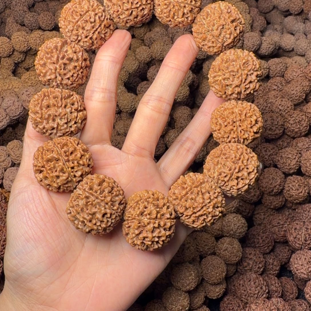 努***福金刚菩提手串8瓣卡29尺，37号