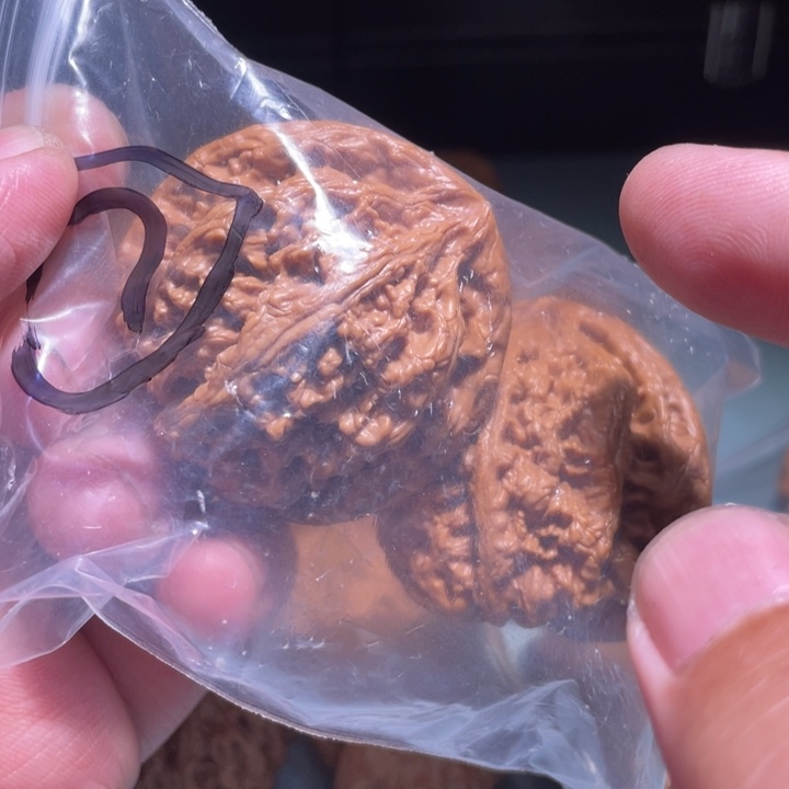 文玩核桃吊坠7呃呃呃