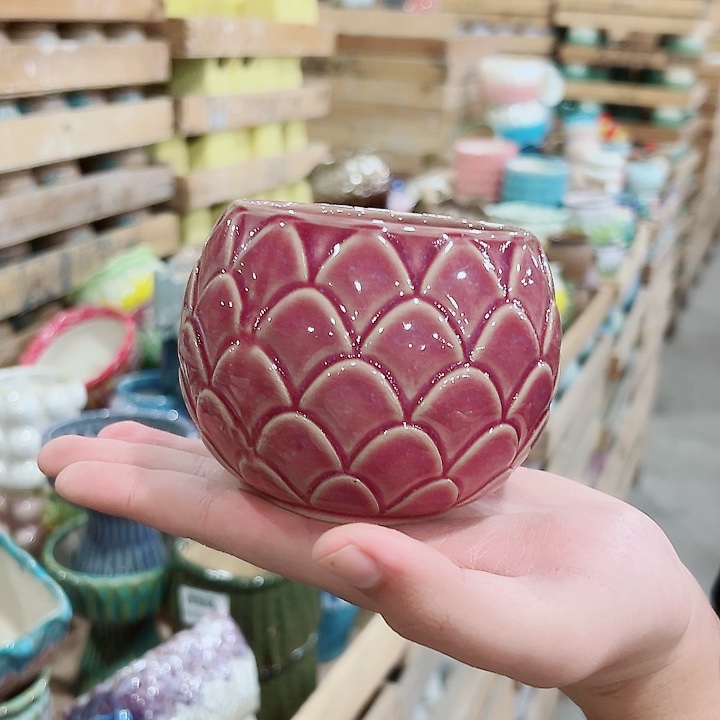 花盆有孔！订单凑满10米包由！