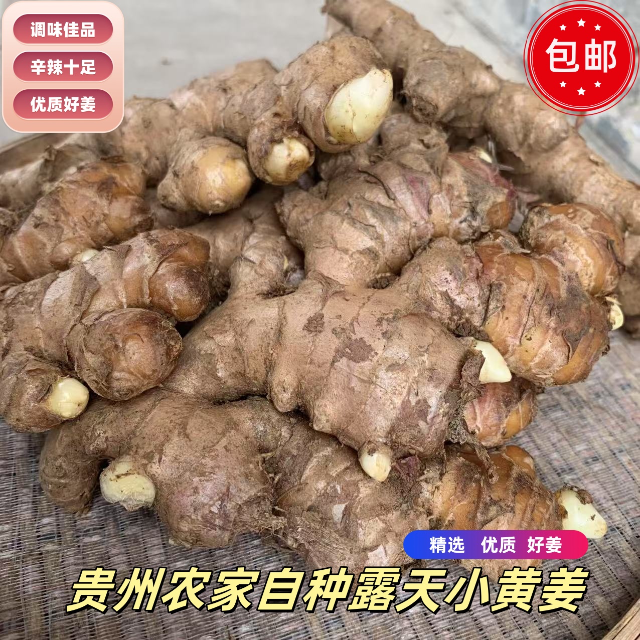 贵州高山现挖小黄姜老姜姜香浓郁辛辣十足