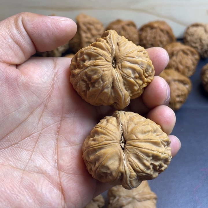 桥***画大叶紫檀（黑酸枝木类）