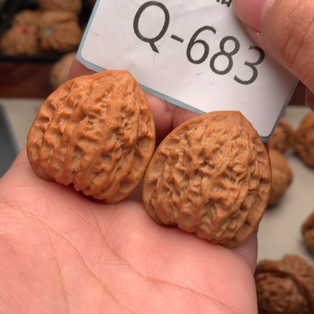 文玩核桃把件34金牛……..