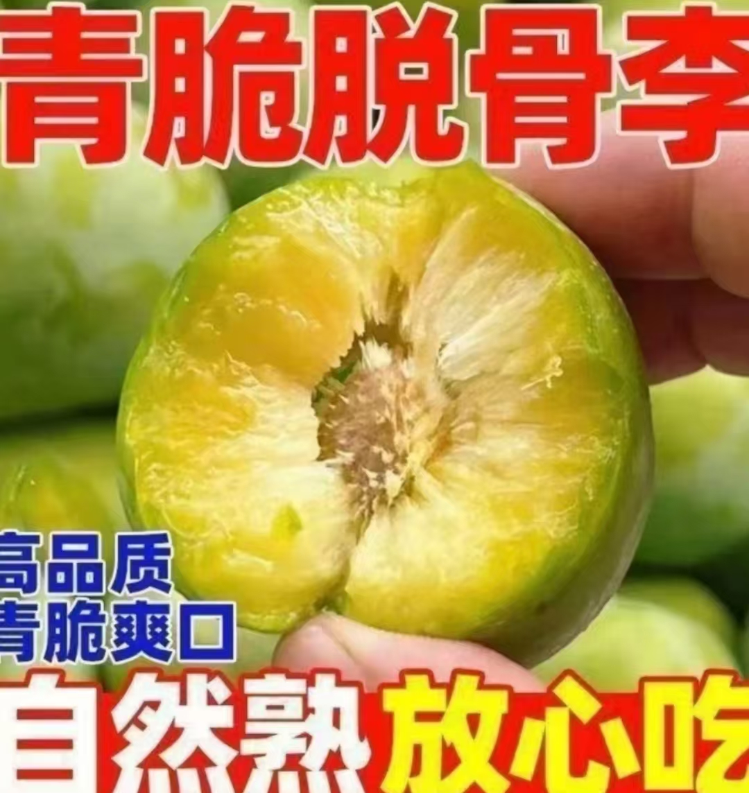 【现摘现发】正宗青脆李脱骨李 酸甜可口脆爽多汁 应季水果