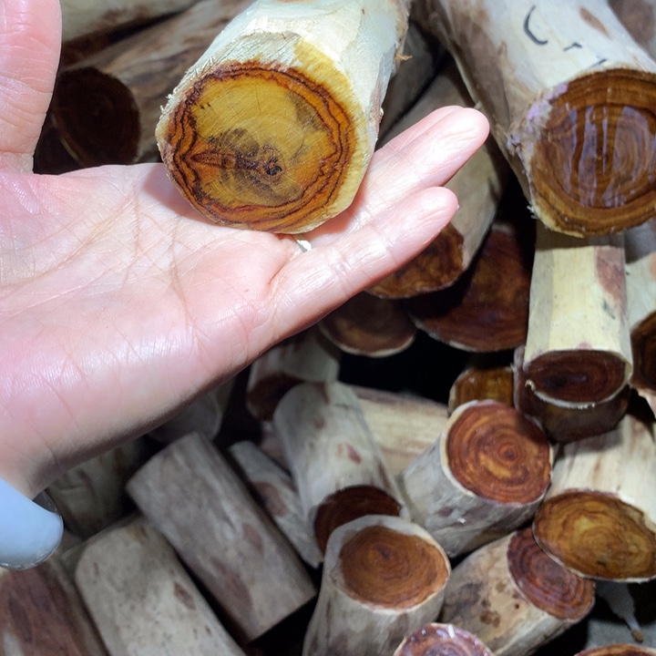 土***包花梨木类海南黄花梨