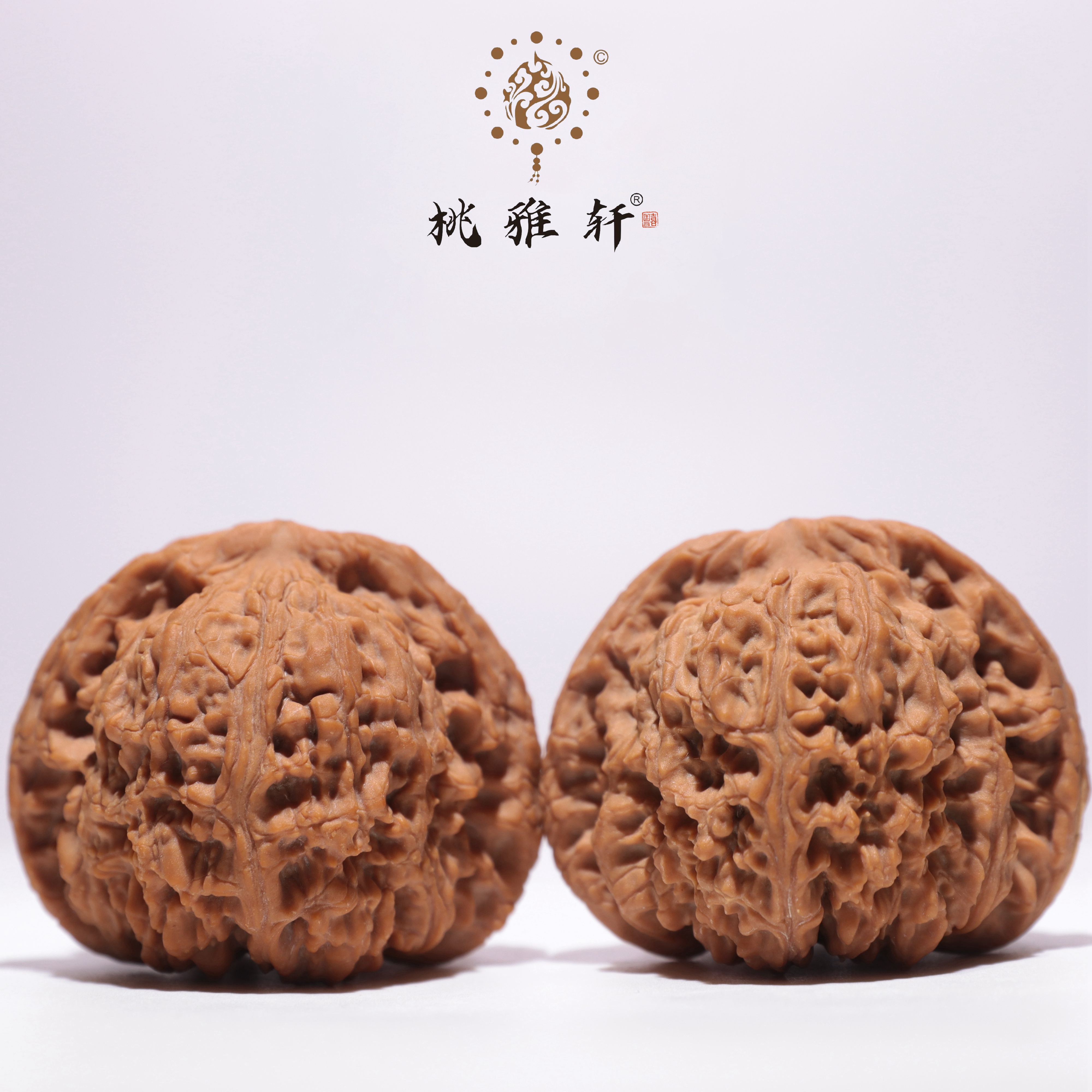 南将石 · 44-47-40 一物一图