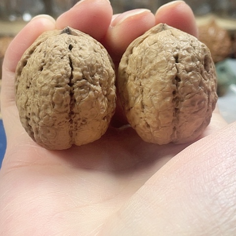 文玩核桃把件铁背双龙带彩40