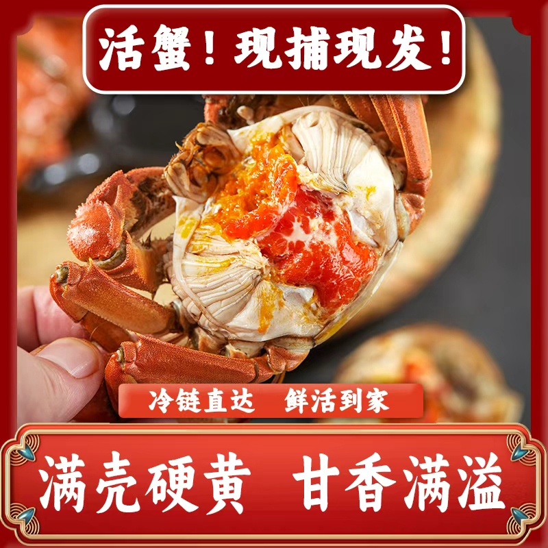 【活蟹现发】江苏精品大闸蟹 公3.6-3.3两母2.6-2.3两 对半8/10只