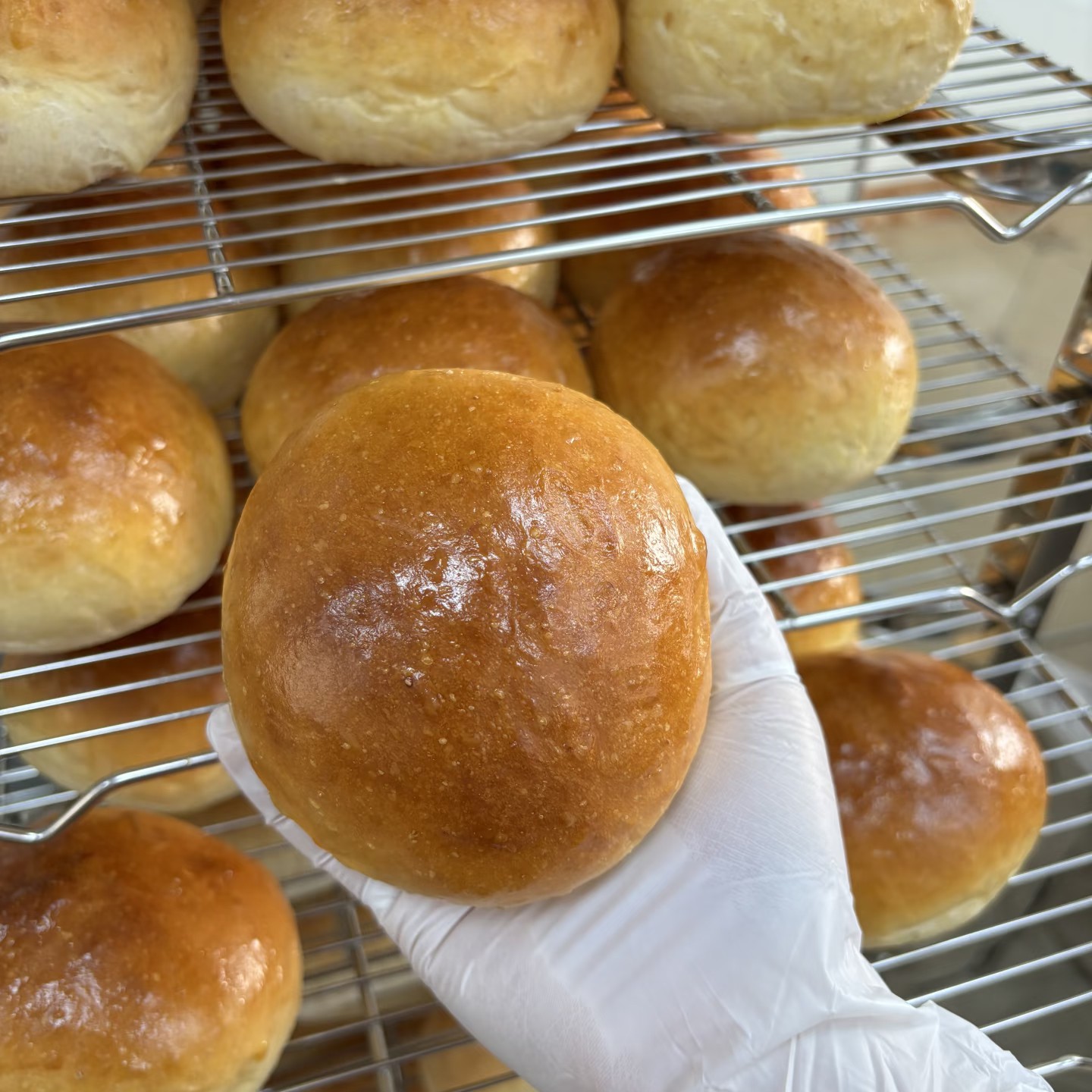 0添加美式天然黄油手工汉堡胚