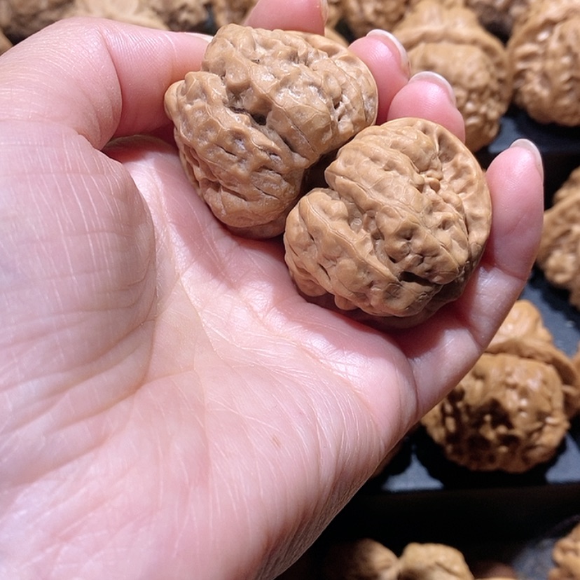 【闪购商品】核桃手串/手链温****?边39全品蛤蟆头