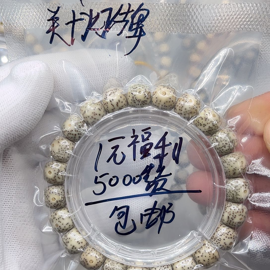 張***一手串星月菩提10/9第一条福利