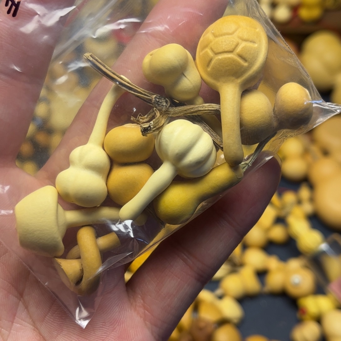 ****️小金蝉俩95扣子60南瓜42