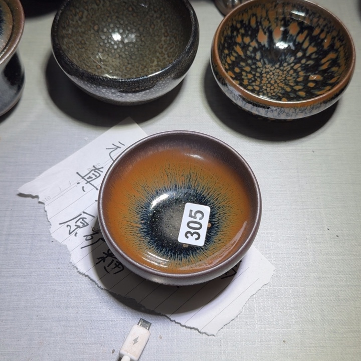 茶盏提出解决农村留守学生入学
