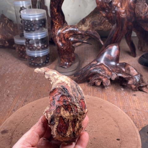 黄花梨/降香黄檀桃*岛