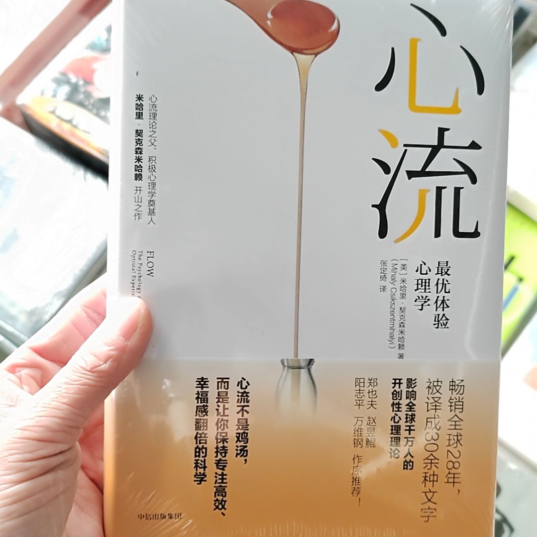 中信出版社 心流 