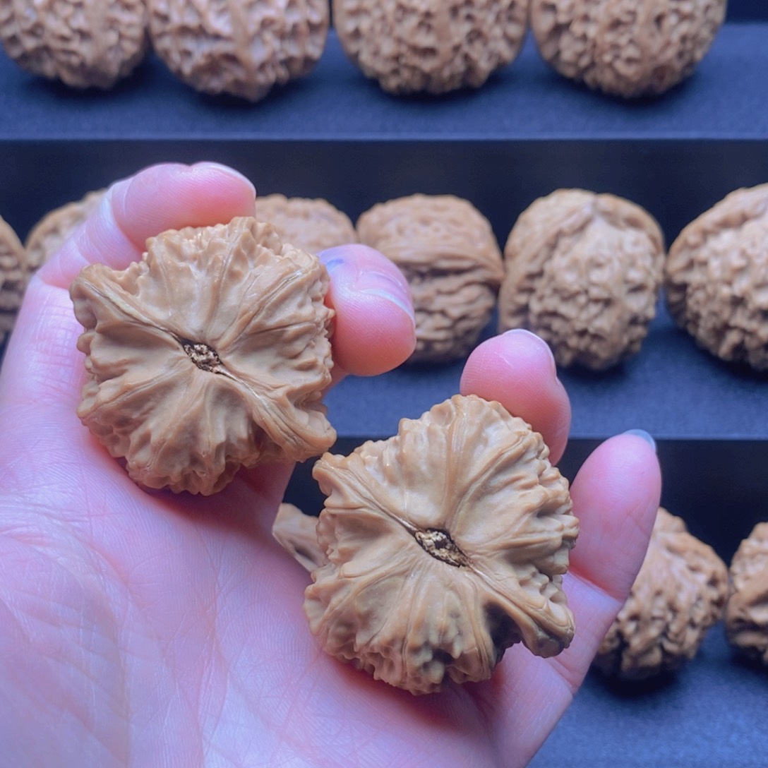 把件文玩核桃@*白狮子