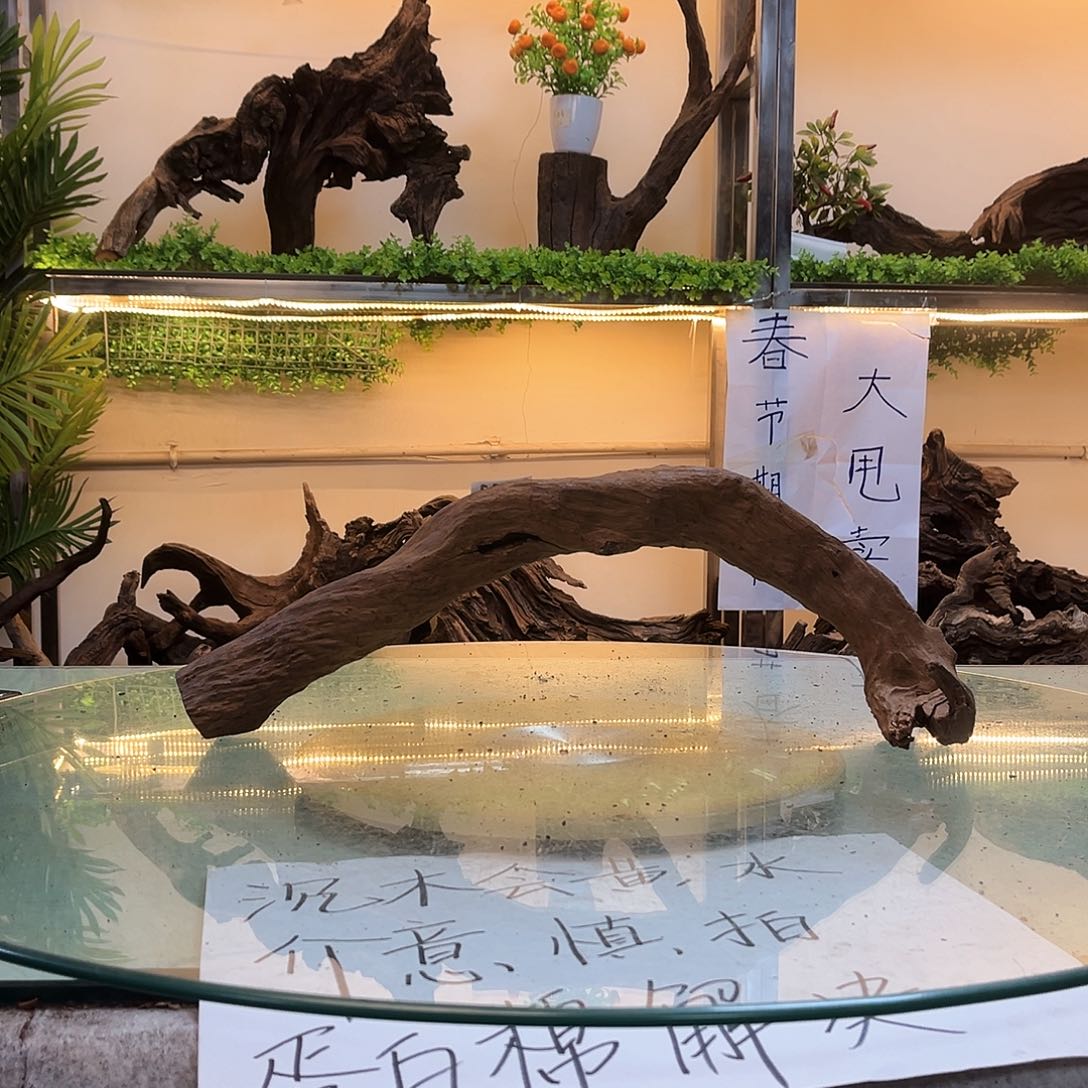 柚木?****?沉木鱼缸造景