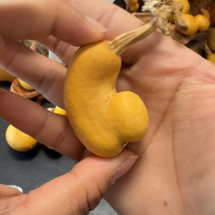 中***邢打皮伤888888888888