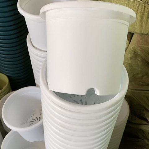 树脂四季3号纯白无托10个